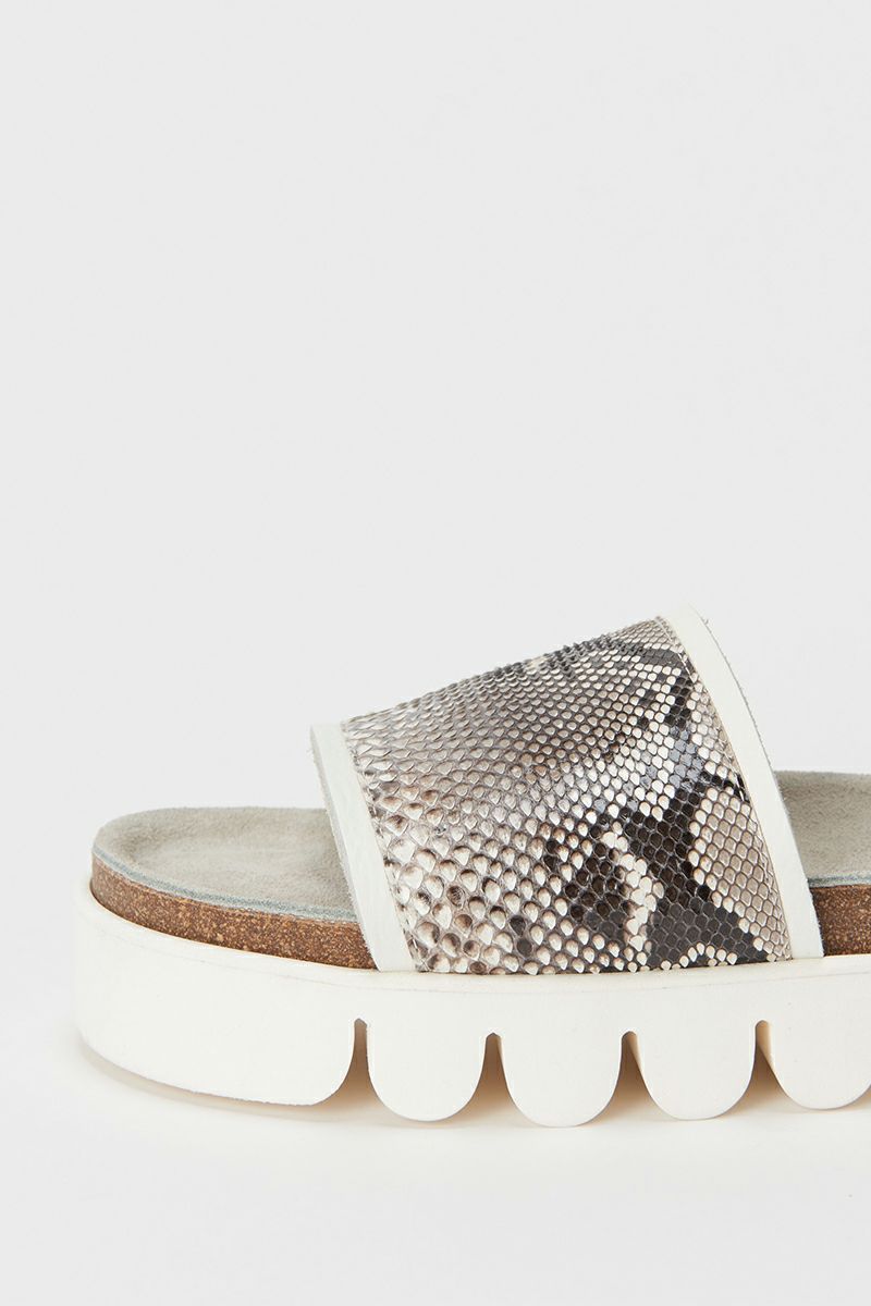 Hender Scheme(エンダースキーマ)キャタピラー パイソン caterpillar python nc-s-cat -1