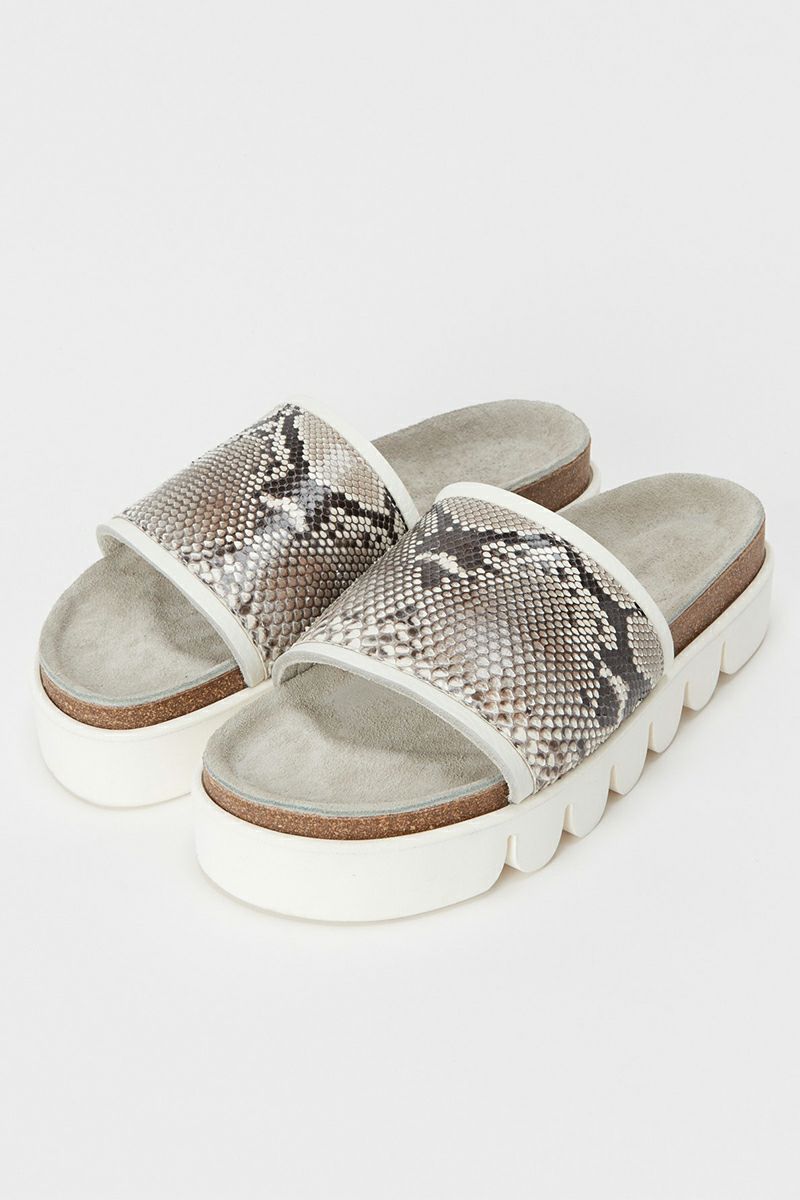 Hender Scheme(エンダースキーマ)キャタピラー パイソン caterpillar python nc-s-cat -4