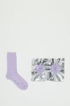 Hender Scheme(エンダースキーマ)セーフソックス safe socks y-c-sox -6