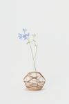 Hender Scheme(エンダースキーマ)サイエンスベース science vase 化瓶 フラットボトム フラスコ Flat-bottom flask 300ml sv-hf-300 -11