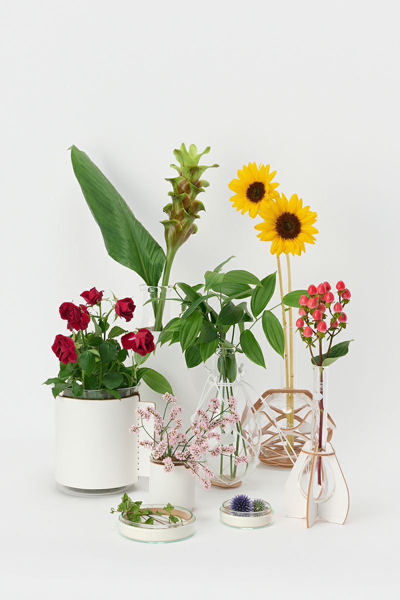 Hender Scheme(エンダースキーマ)サイエンスベース science vase 化瓶 ペトリディッシュ シャーレ petri dish L sv-pd-90 -8