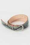 Hender Scheme(エンダースキーマ)パイソンタンニングベルト python tanning belt di-rc-tnb -7