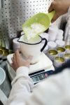 THE FLAVOR DESIGN(ザ フレイバー デザイン)THE FLAVOR DESIGN(ザ フレイバー デザイン) CANDLE(キャンドル) -10