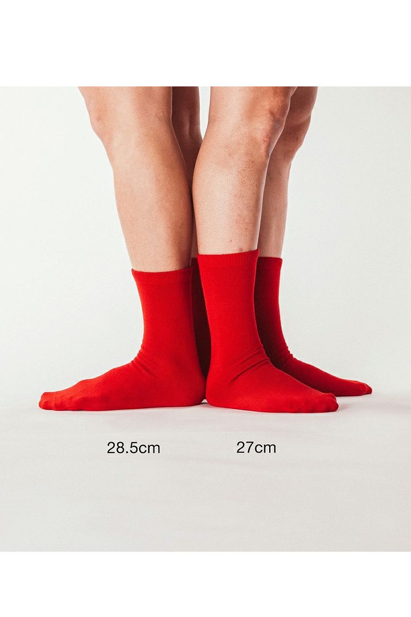 aligatos(アリガトス)Type1-wool ウールソックス -5