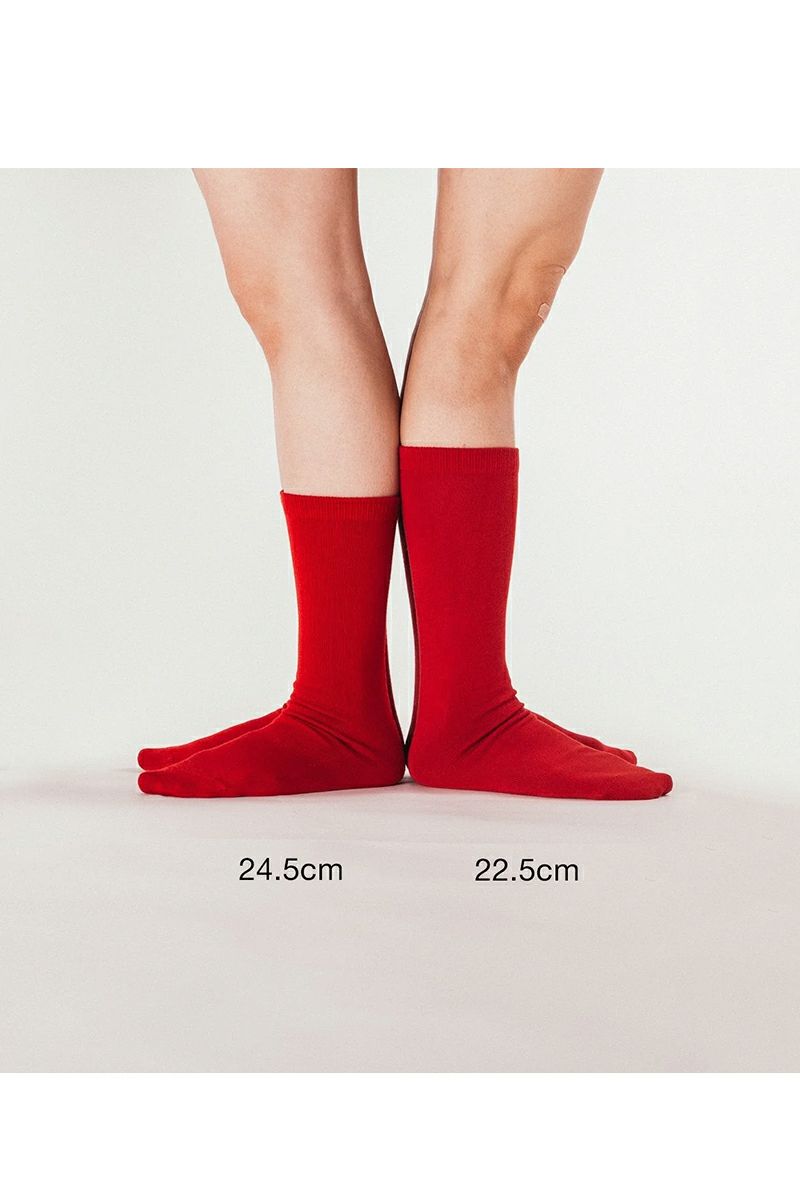 aligatos(アリガトス)Type1-wool ウールソックス -6