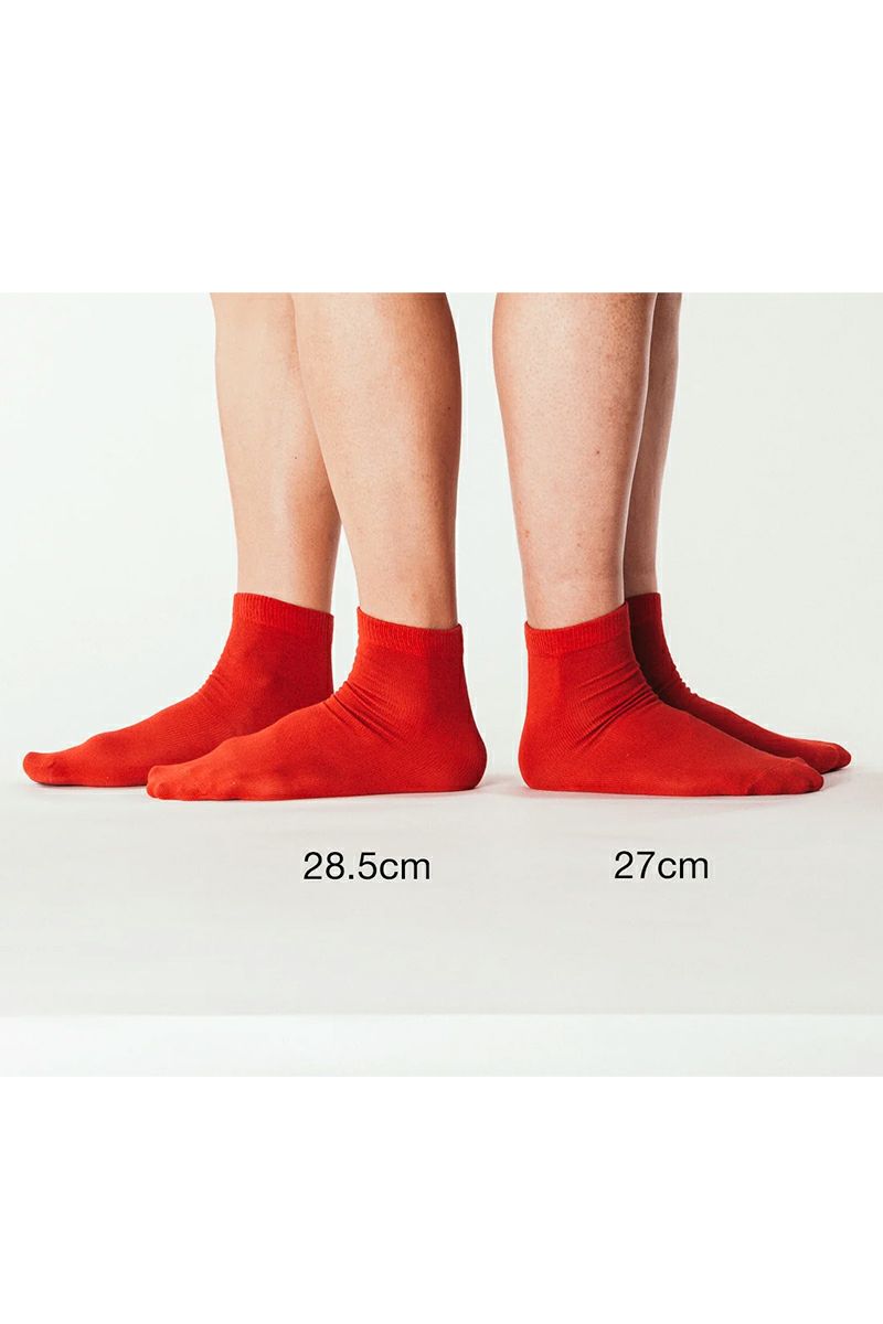 aligatos(アリガトス)Type2-cotton コットンソックス -6