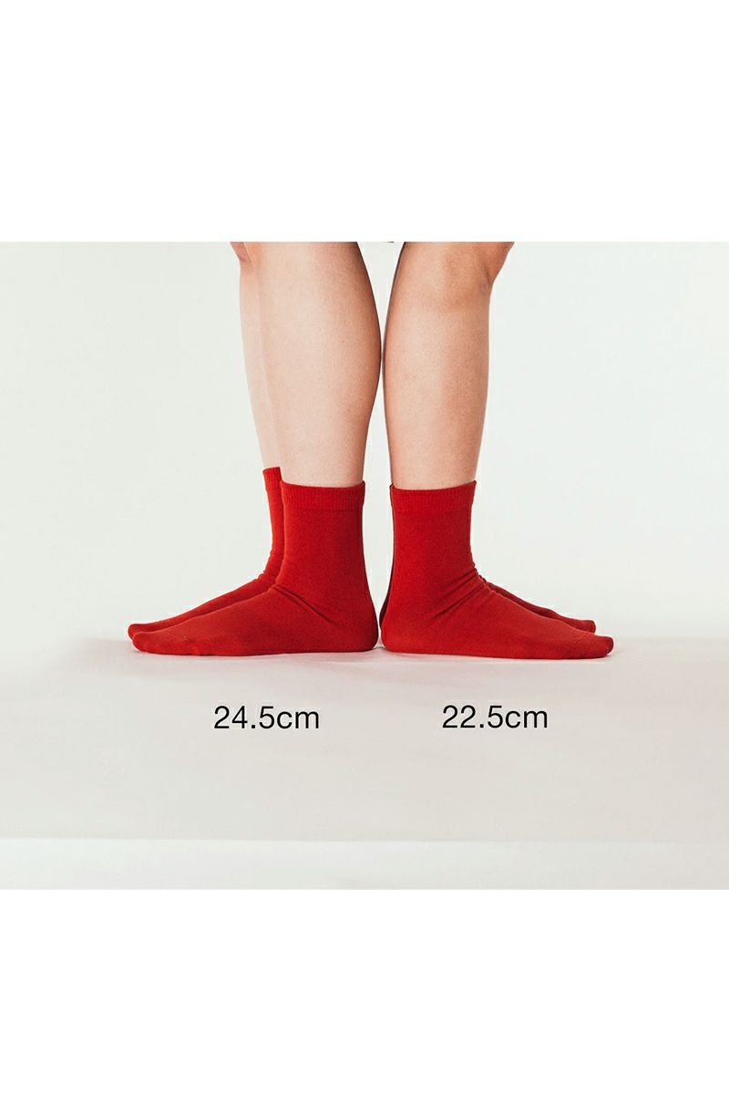 aligatos(アリガトス)Type2-cotton コットンソックス -7