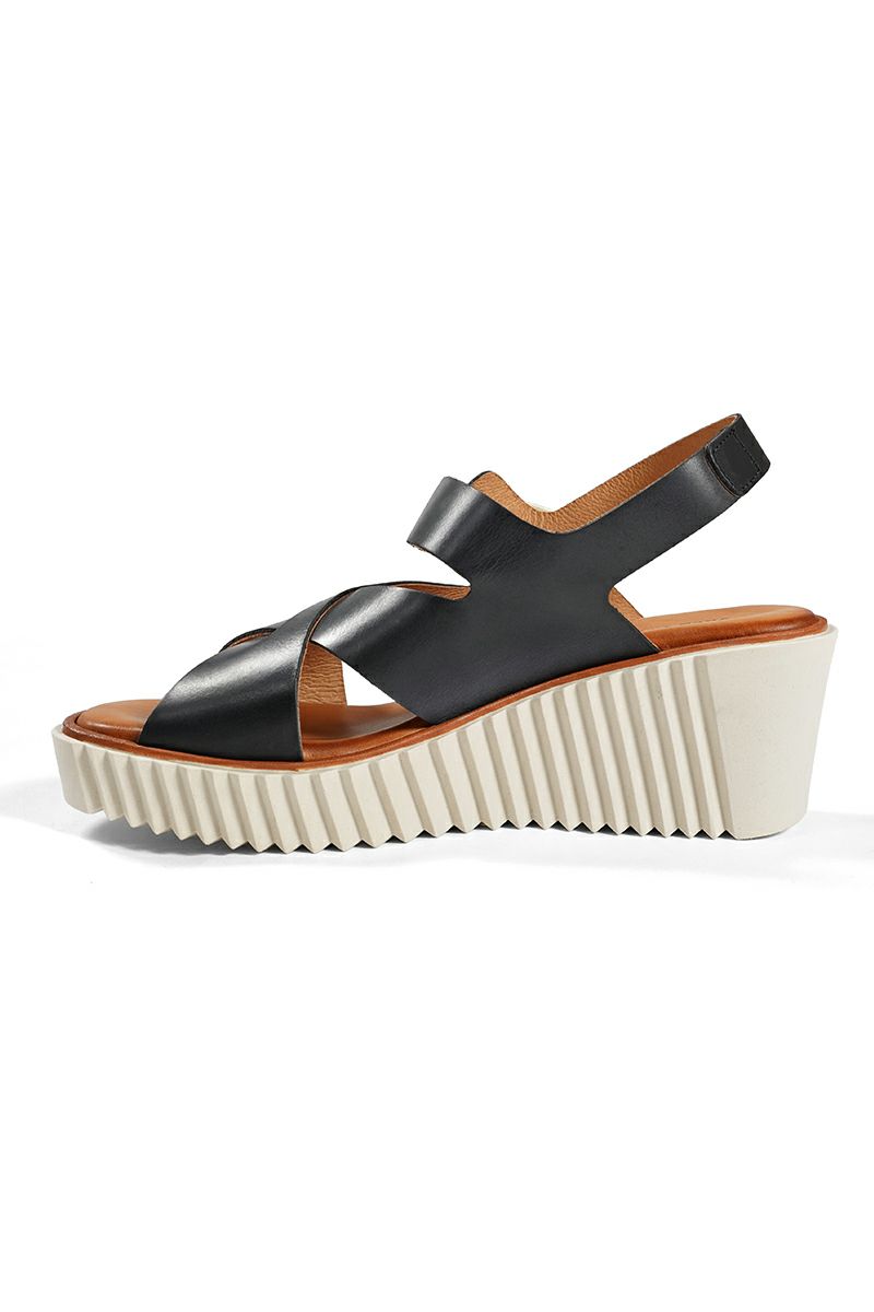 yuko imanishi＋(ユウコイマニシ)SOFIA 732056-1 -3