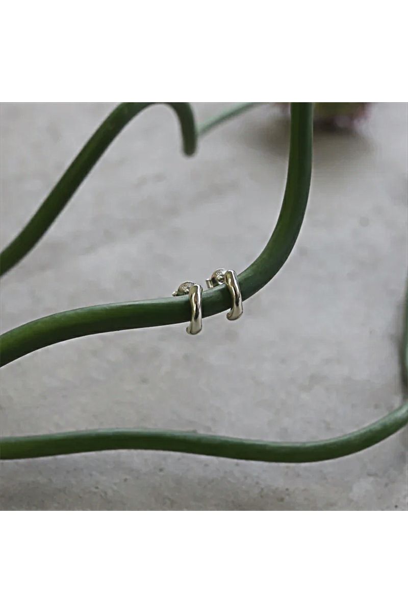 TEN.(テン)ポレンピアス SV PI-0117 -2