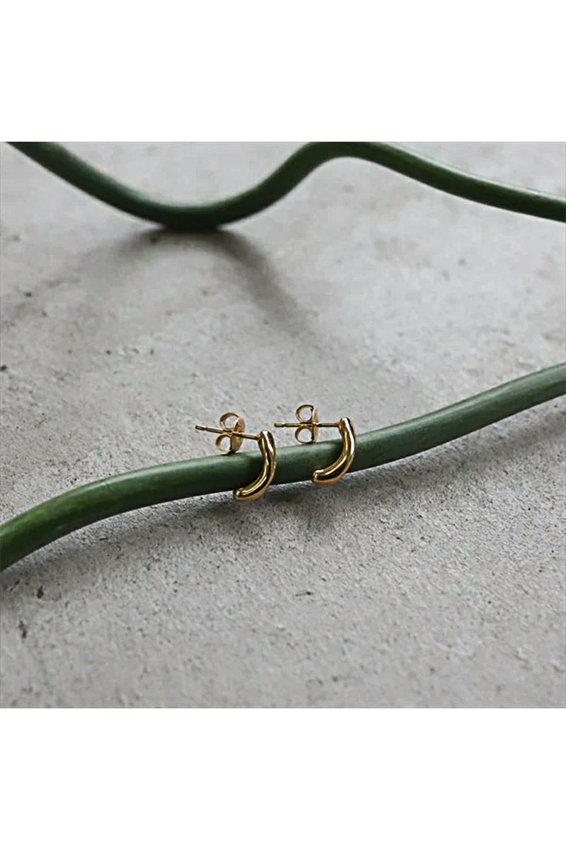 TEN.(テン)ポレンピアス GD PIG-0117 -2