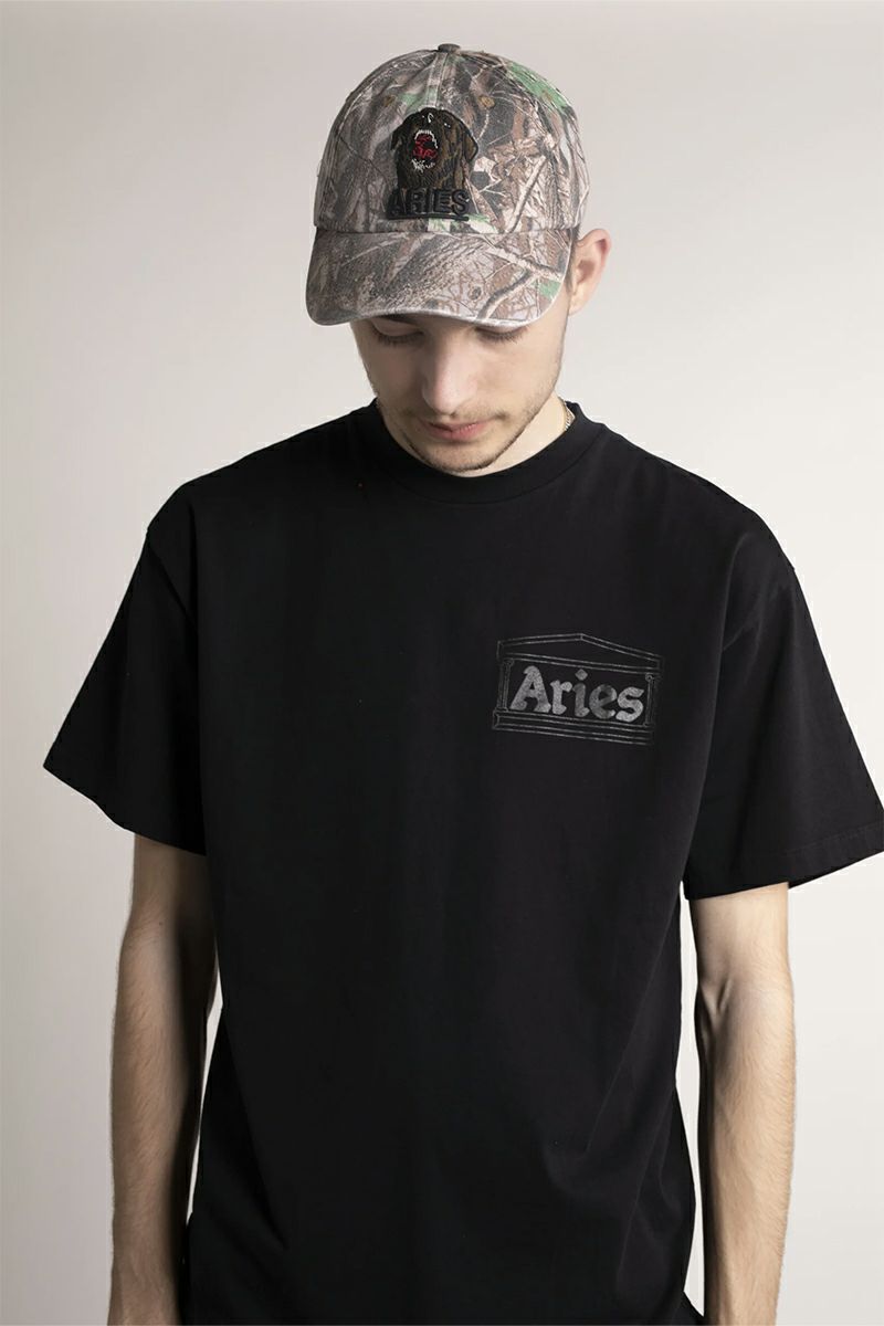 ARIES(アリーズ)Temple SS Tee COAR60000 -9