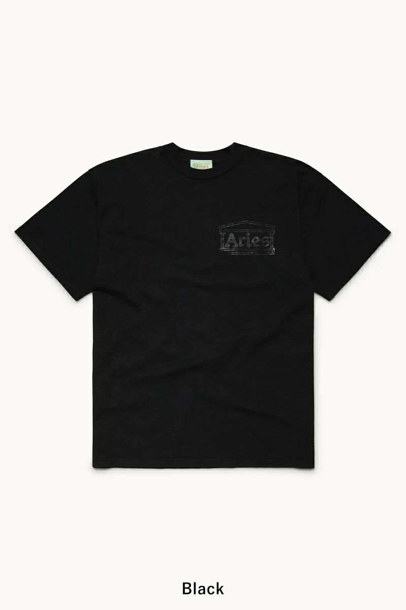 ARIES(アリーズ)Temple SS Tee COAR60000 -12