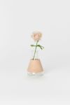 Hender Scheme(エンダースキーマ)サイエンスベース science vase 化瓶 エルレンマイヤーフラスコ 三角フラスコ Erlenmeyer flask 100ml sv-sf-100 -3