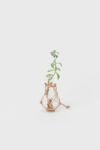 Hender Scheme(エンダースキーマ)サイエンスベース science vase 化瓶 ケルダール フラスコ Kjeldahl flask 100ml sv-nf-100 -4