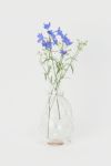 Hender Scheme(エンダースキーマ)サイエンスベース science vase 化瓶 ケルダール フラスコ Kjeldahl flask 500ml sv-nf-500 -4
