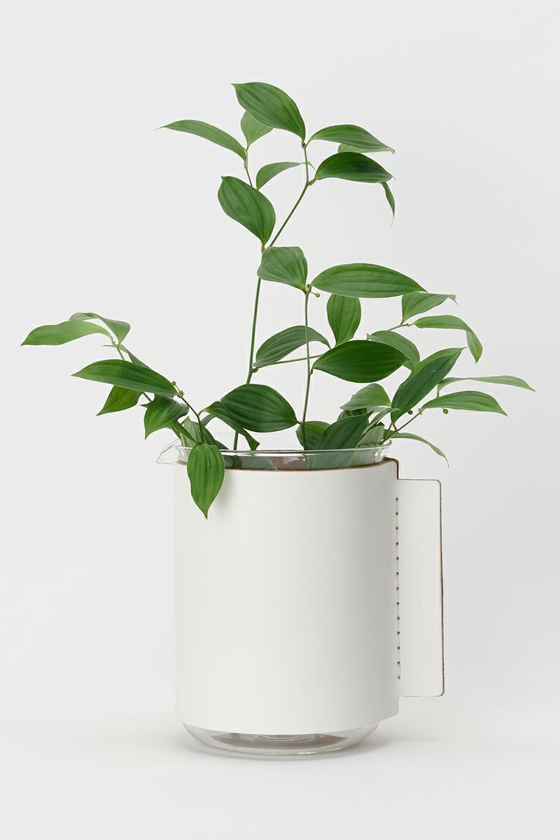 Hender Scheme(エンダースキーマ)サイエンスベース science vase 化瓶 ビーカー Beaker 2000ml sv-be-2l -6