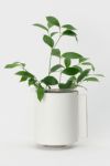 Hender Scheme(エンダースキーマ)サイエンスベース science vase 化瓶 ビーカー Beaker 2000ml sv-be-2l -6