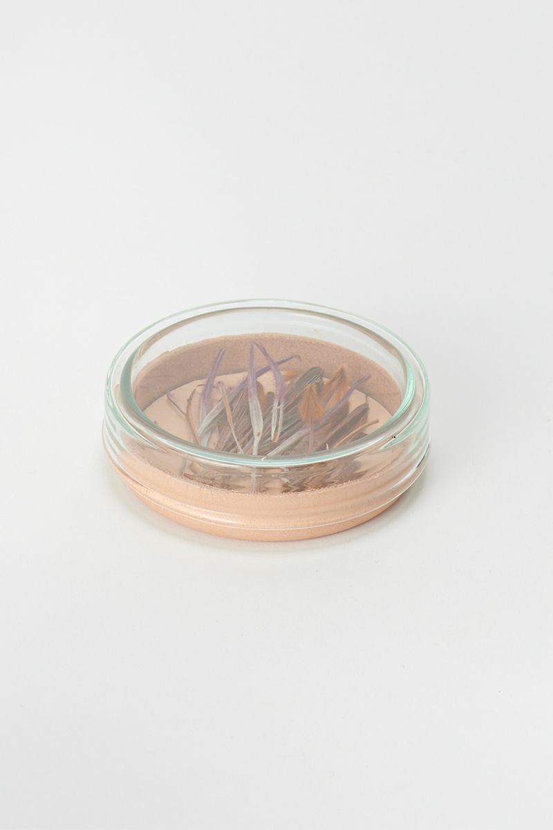 Hender Scheme(エンダースキーマ)サイエンスベース science vase 化瓶 ペトリディッシュ シャーレ petri dish M sv-pd-60 -2