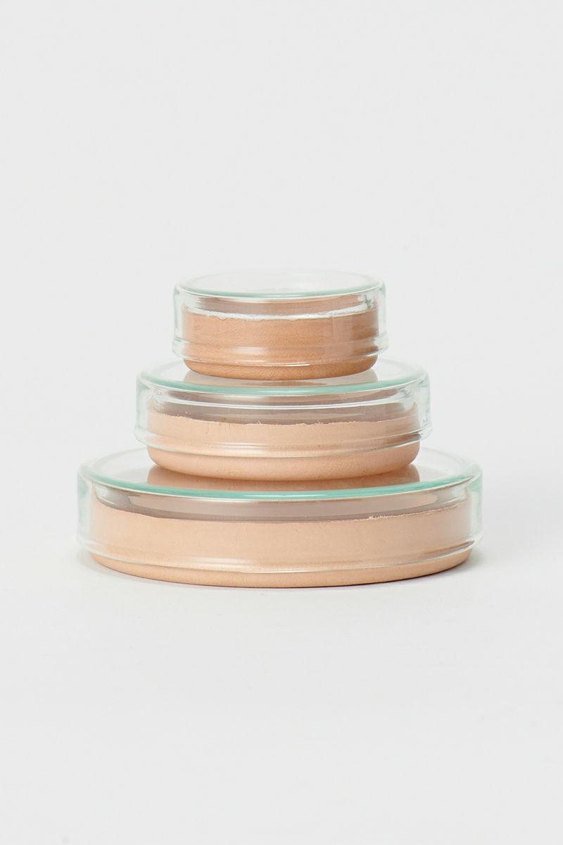 Hender Scheme(エンダースキーマ)サイエンスベース science vase 化瓶 ペトリディッシュ シャーレ petri dish M sv-pd-60 -4