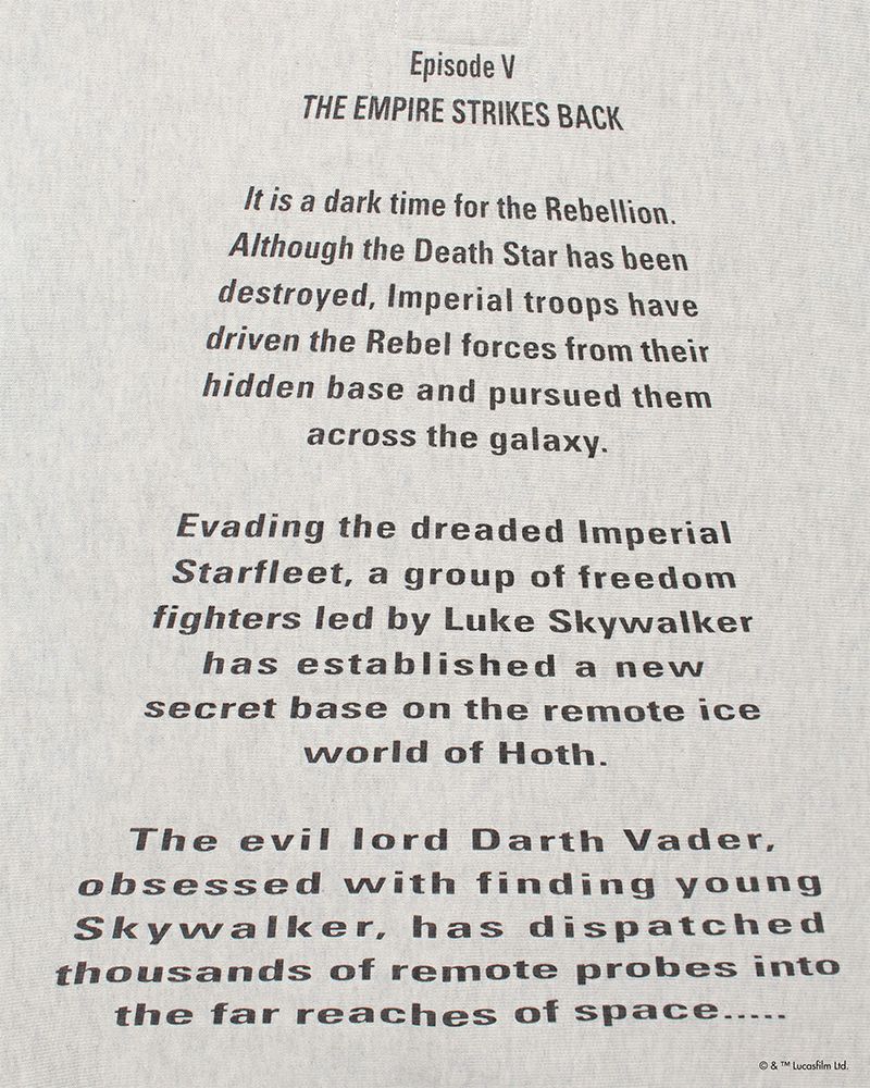 BOWWOW(バウワウ)DARTH VADER / SWEATSHIRTS LIMITED EDITION スターウォーズ BW242-DVSS -6