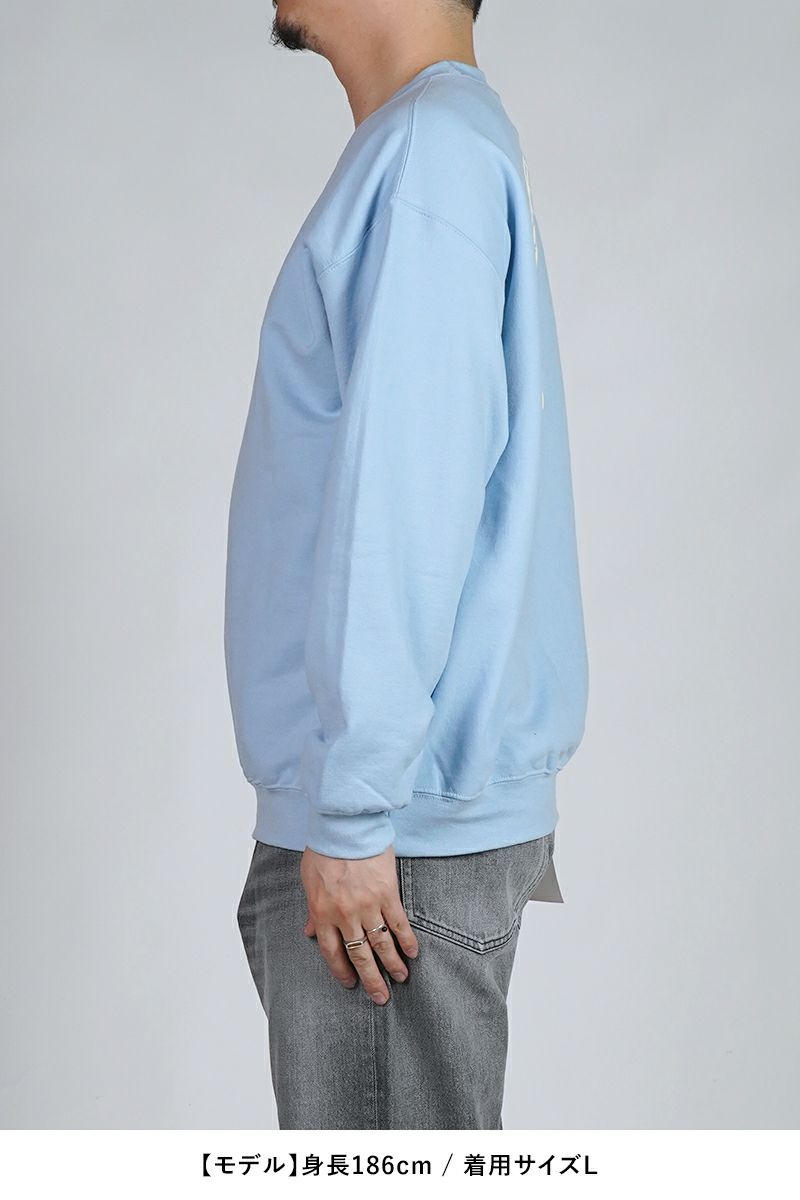 High Scream Center(ハイスクリームセンター)  F××K HOMOSAPIENS ホモサピエンススウェット HSC25FW-CT06