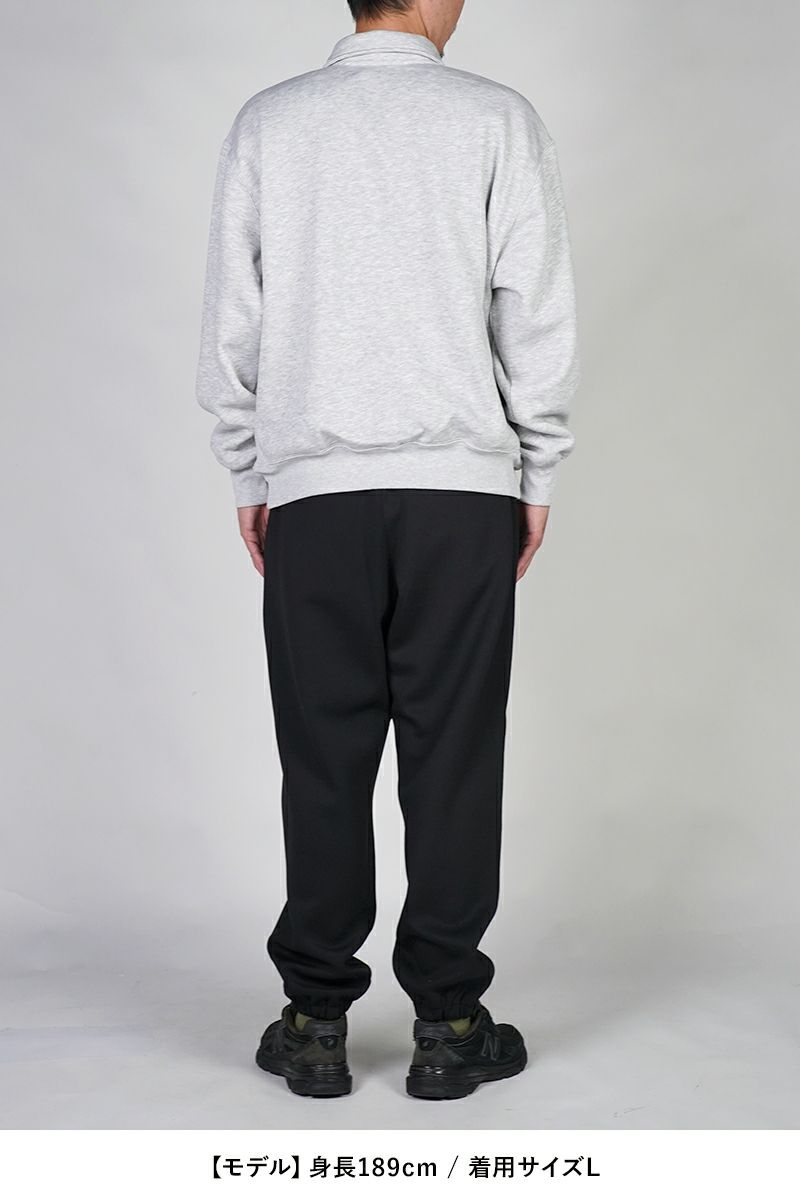 DAIWA PIER 39(ダイワピア39) TECH SWEAT SNAP PULLOVER テックスウェットスナッププルオーバー BE-53025W